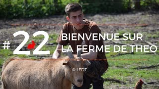 BIENVENUE SUR LA FERME DE THÉO │LFDT #22