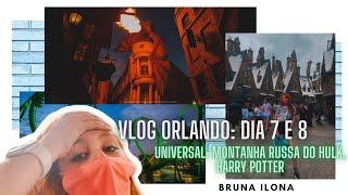 VLOG ORLANDO: DIA 7 e 8 - FOMOS NA UNIVERSAL