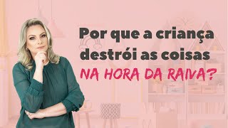 Por que a criança destrói as coisas na hora da raiva?