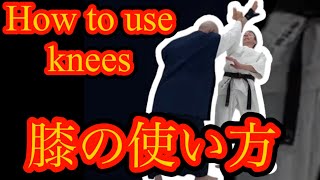 膝の使い方で空間を変える・勝速日【三枝龍生・合気道】/ Change the space with the use of knees.( Saegusa sensei / aikido )