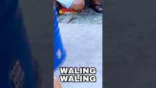 WALING² AUDIO MOBILE DRUM DRAGGING dagu-ob sa sta Barbara 2023 #battleofthesoundstv  #short #shorts