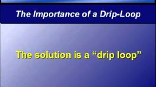 Aquarium Set-Up Tip - 11 - A Drip Loop is Important