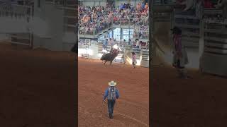 Arcadia Florida Rodeo Championship #arcadia #florida #rodeo #bullriding #crazy #Championship