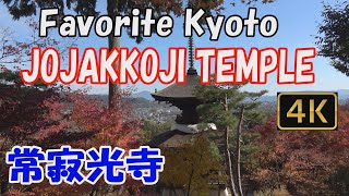 【Jojakkoji Temple 常寂光寺】Favorite Kyoto.🍁See Jojakkoji Temple in beautiful autumn.