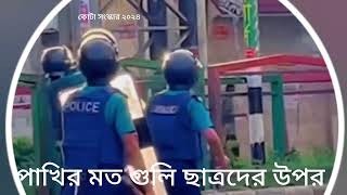 পাখির মত গুলি ছাত্রদের উপর | কোটা সংস্কার | বাংলাদেশ | kota anddolon