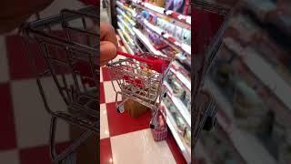 超市购物第10天 Supermarket shopping #miniaturetoys #miniatureworld #minikitchen #householditems #shopping