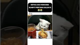 Siapa dari kalian masih susah pakai sumpit ?? #meme #shorts