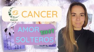 CANCER ♋ DESCRIPCION DE LA PROXIMA PERSONA CON LA QUE VAS A CONECTAR💞💥  #cancertarot#tarotintuitivo