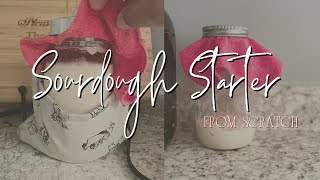 Easiest Sourdough Starter from Scratch for Beginners