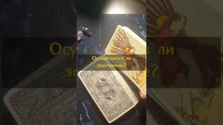 #shots #таро #тароонлайн #тарология #tarologia #tarotreading #shot #tarotcard #тарорасклады #taro