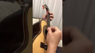 Sofreguidão - Versão Elisa Gudin - Cavaquinho Osvaldo Luthier