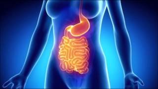 Come alleviare  il dolore del Colon Irritabile (176 hz 635 hz 880 hz Isochronics Tone)