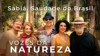 Sabiá Saudade do Brasil | Vozes da Natureza