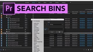 Search Bins in Adobe Premiere Pro (2018) [Urdu] [Hindi] [15]