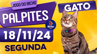 PALPITE DO DIA 18/11/2024 - JOGO DO BICHO 🍀 TODAS AS LOTERIAS 🍀