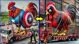 Superheroes Chicken Evaluated 🐓💥Avengers vs DC - All Marvel Characters #avengers @worldsofwonder00