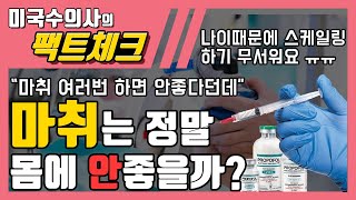 마취는 정말 개 고양이한테 안좋을까?  마취가 무서운 집사들을 위한 [미국수의사의 팩트체크]