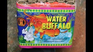 Water Buffalo with abundant thunderwind