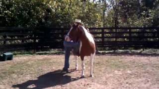 Josh Guin mounts and rides horse for the first time