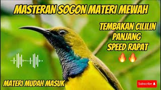 MASTERAN SOGON MATERI CILILIN TEMBAKAN SPEED RAPAT🔥🔥#masteranburung #sogonbahan #sogon #sogontrotol