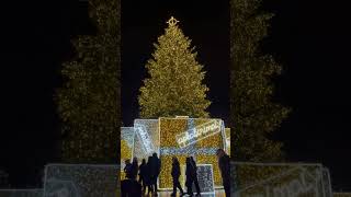 Wonderful Christmas tree 🎄 and Christmas market Vilnius 🎄🎄❄️❄️#shorts #short