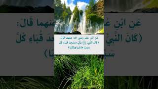 من أقوال الرسول صلى الله عليه وسلم ‏⁧‫#السنة_النبوية‬⁩  #متفق_عليهً