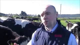 Body Condition Scoring Cows by Liam Stack GAIN Feeds