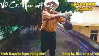 Về Cà Mau bắt ong