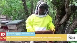 Mieles producidas por abejas ubicadas en cafetales orgánicos de la Sierra Nevada de Santa Marta