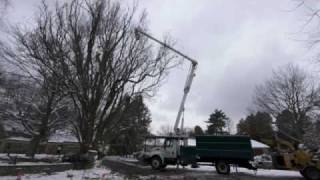 Aerial Lift Clip | Cohen and Master