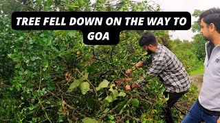 Road blocked tree fell down on our way to goa.