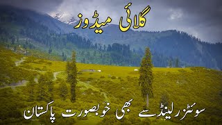 Gallai Meadow | Switzerland Say Bhi Khobsorat Pakistan | Unexplored Allai Valley Batagram |