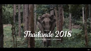 Thaïlande 2018 | VLOG 2 | Immersion dans les jungles des plus beaux parcs nationaux