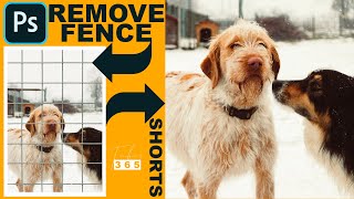 Remove Fence in Photoshop #Shorts