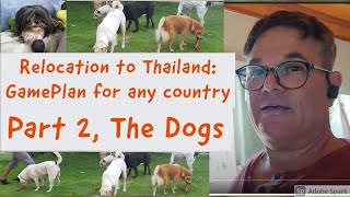 Part 2, The Dogs.  Moving 4 dogs from the USA to Thailand