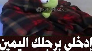 حد لسه صاحي يجى يستفاد القوانين الجديده لليويو 💝 واحشتوني❤