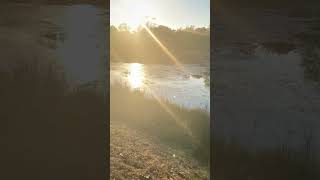 Hiking Along a Pond at Sunset in Mohawk Park! #nature #water #forest