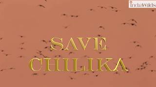 Save Chilika from Seaplane