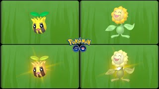 Pokemon Go: Evolving Normal & Shiny Sunkern into Normal & Shiny Sunflora