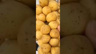 Ini Buah Duku Langsat Apa Kokosan ya? #viral #hidroponik #shortsvideo #tiktok