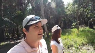 $6 Myakka River State Park Hike: Sarasota, Fl