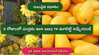 🔴3 రోజులలో అన్నిరకాల పండ్లను మాగబెట్టండి | ఎటువంటి హానికరమైన రసాయలు లేకుండా పండ్లను మాగబెట్టు విధానం