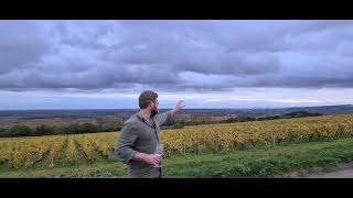 Puligny Montrachet 1er Cru 'La Garenne' and 'Les Champs Gains'