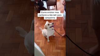 Você possui esse problema dentro de casa? #adestramento #latidos #cachorro #cao #crdog #shorts