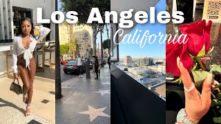 LA VLOG: Hollywood walk of fame, Santa Monica pier, shopping & more | Shalaya Dae