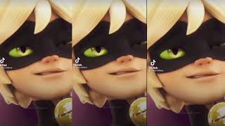 Black cat /Adrien/AMV ❤️