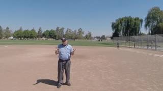 BASE Umpire Teamwork