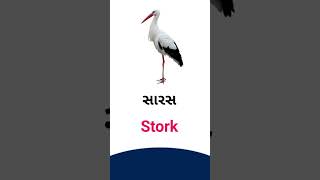 Stork meaning in Gujarati - English dictionary