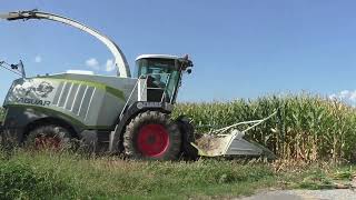 Maishäckseln mit der Raubkatze Claas Jaguar 970 und Orbis 750 und Fendt Vario 724 mit Lohnunternehme