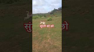 सुंदरी छोछो #viral